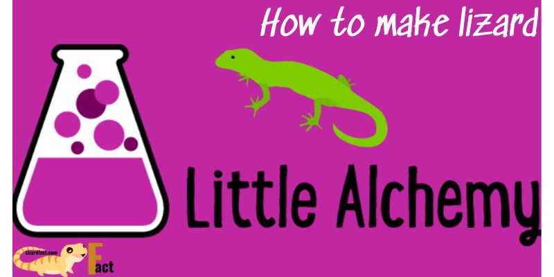 how to make lizard in little alchemy